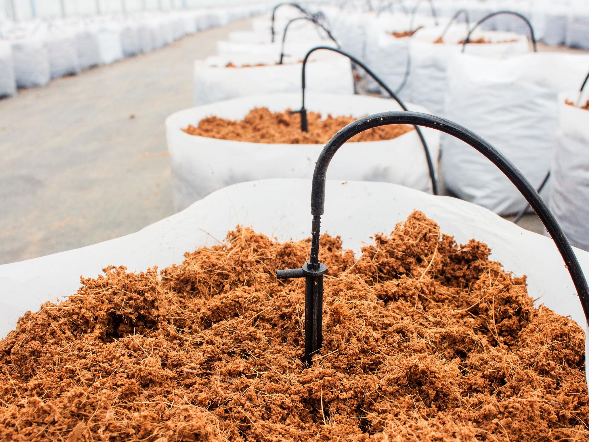 Hydroponics